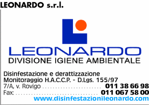 Visualizza Inserzione