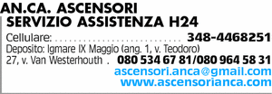Visualizza Inserzione