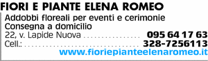 Visualizza Inserzione