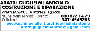 Visualizza Inserzione