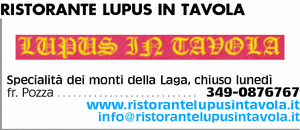 Visualizza Inserzione