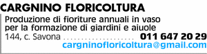 Visualizza Inserzione