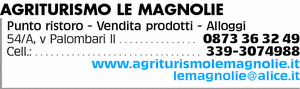 Visualizza Inserzione