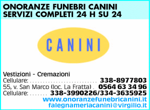 Visualizza Inserzione