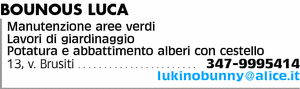 Visualizza Inserzione
