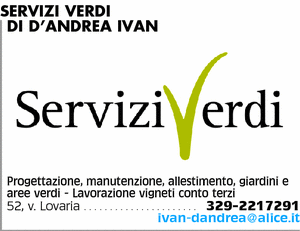 Visualizza Inserzione