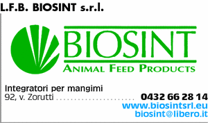 Visualizza Inserzione