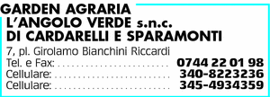 Visualizza Inserzione