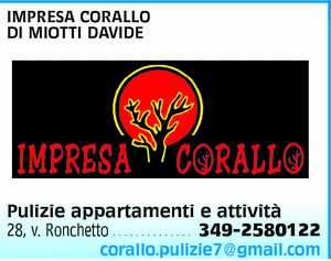 Visualizza Inserzione