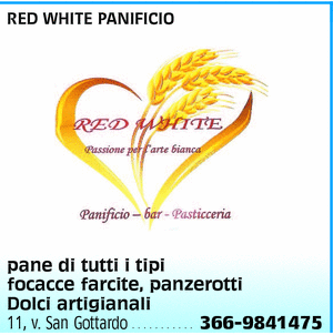 Visualizza Inserzione