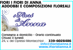 Visualizza Inserzione