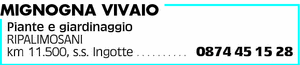 Visualizza Inserzione