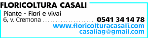 Visualizza Inserzione