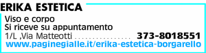 Visualizza Inserzione