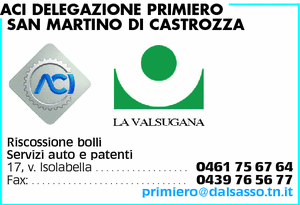 Visualizza Inserzione