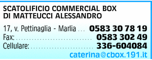Visualizza Inserzione