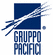 Pacifici Ricambi Carsoli Gruppo Pacifici logo