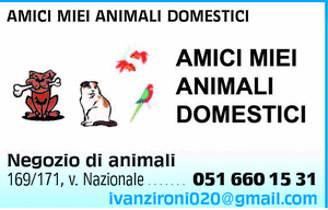 Visualizza Inserzione