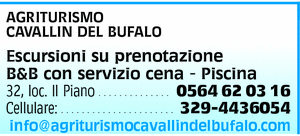 Visualizza Inserzione