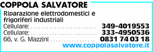 Visualizza Inserzione