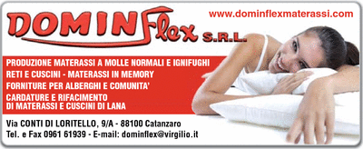 Visualizza Inserzione