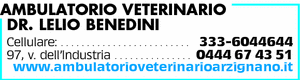 Visualizza Inserzione