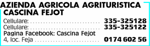 Visualizza Inserzione