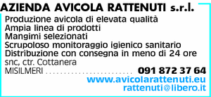 Visualizza Inserzione