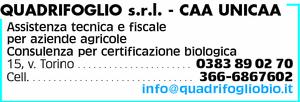 Visualizza Inserzione
