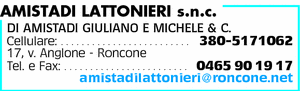 Visualizza Inserzione