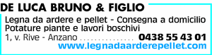 Visualizza Inserzione