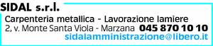 Visualizza Inserzione
