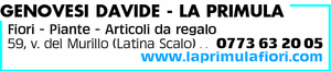 Visualizza Inserzione