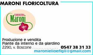 Visualizza Inserzione