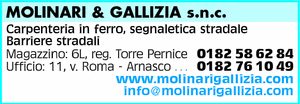 Visualizza Inserzione