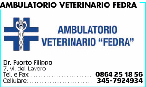 Visualizza Inserzione