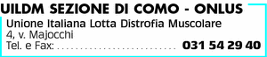 Visualizza Inserzione
