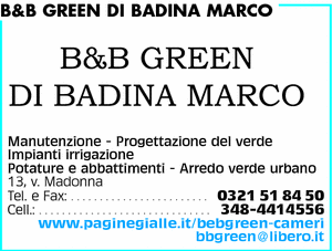 Visualizza Inserzione