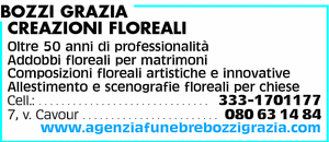 Visualizza Inserzione