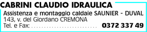 Visualizza Inserzione