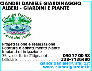Visualizza Inserzione