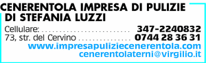 Visualizza Inserzione