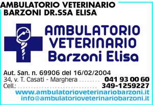 Visualizza Inserzione
