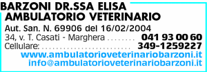Visualizza Inserzione