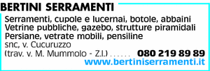 Visualizza Inserzione