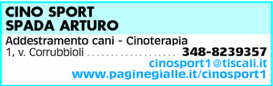Visualizza Inserzione