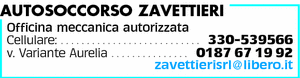 Visualizza Inserzione