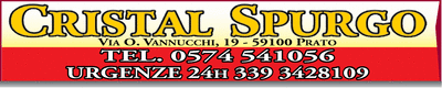 Visualizza Inserzione