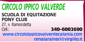 Visualizza Inserzione