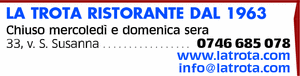 Visualizza Inserzione